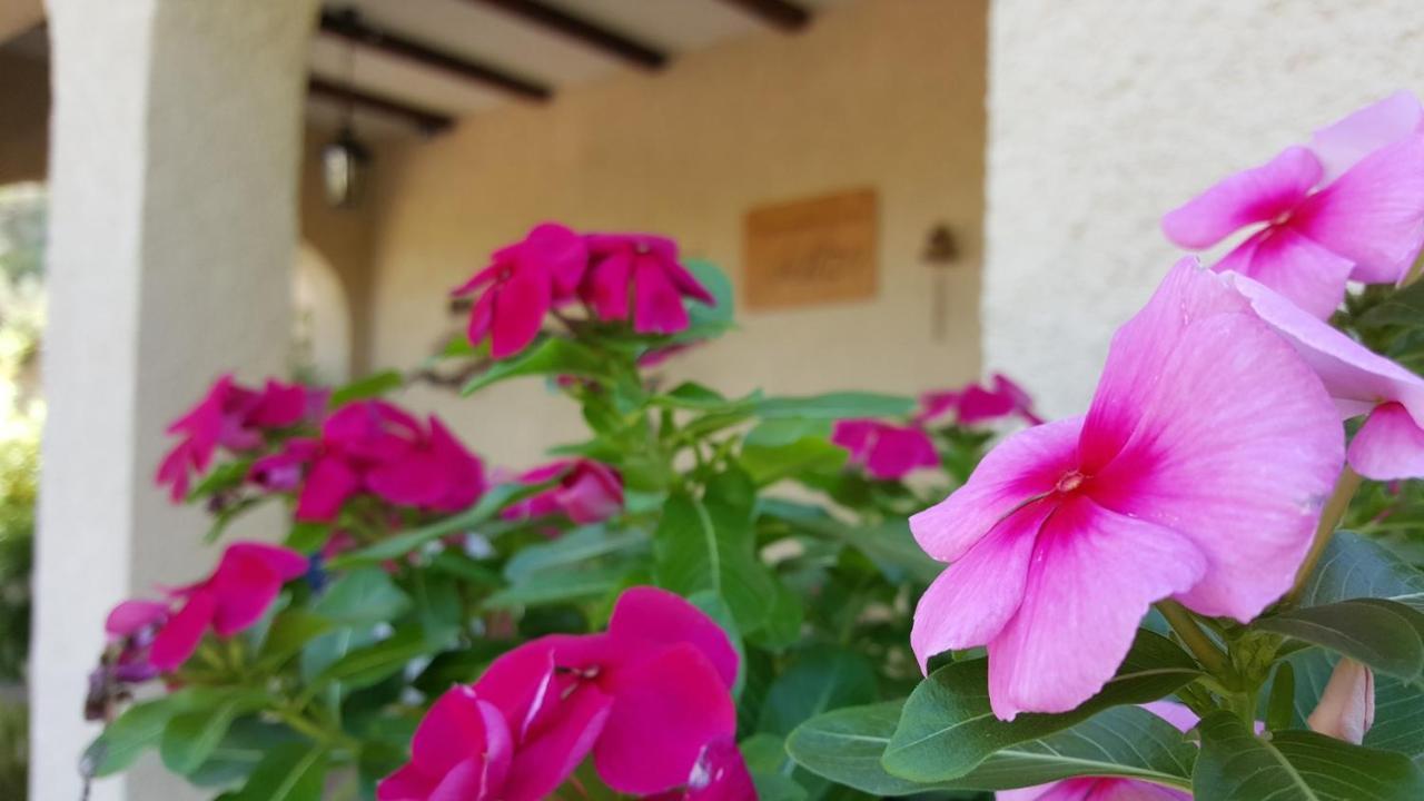 Casa Jetizo Bed & Breakfast Ontinyent Exterior photo